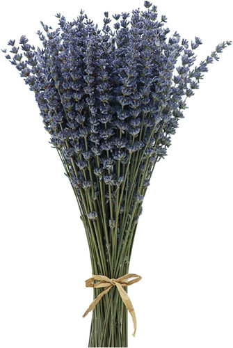 Dried lavender flowers bundles - lavender,